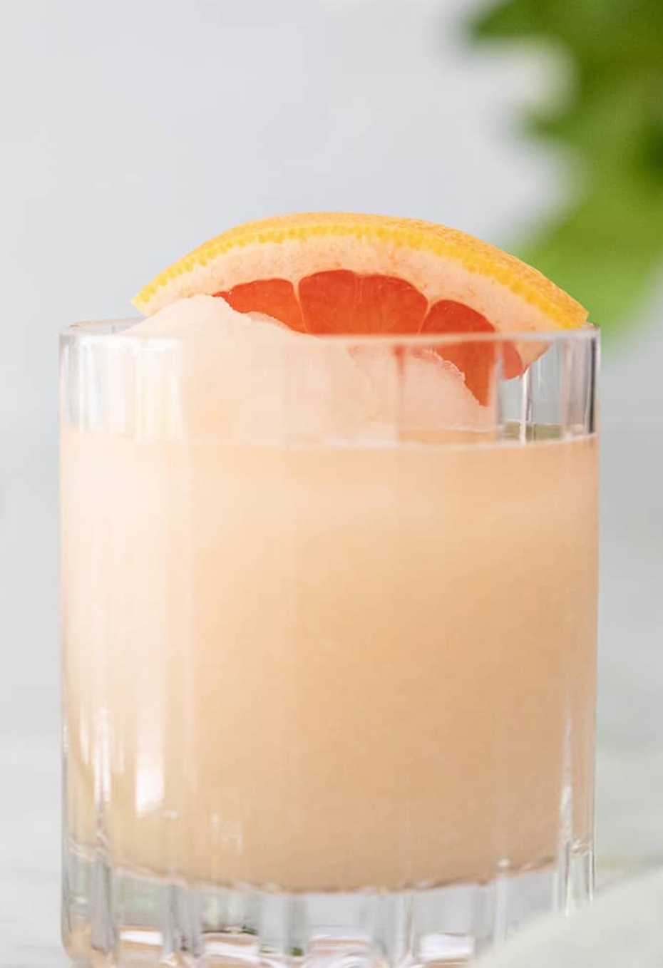 Italian Paloma