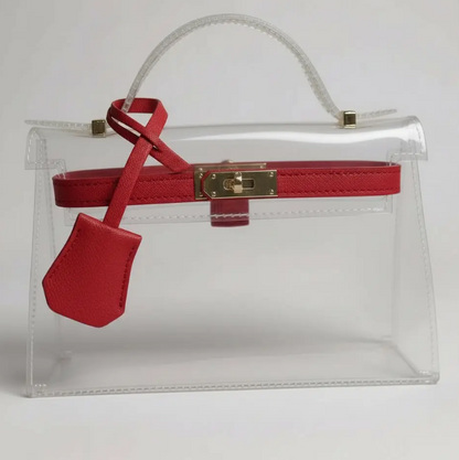Mini Andrea Clear  Bag