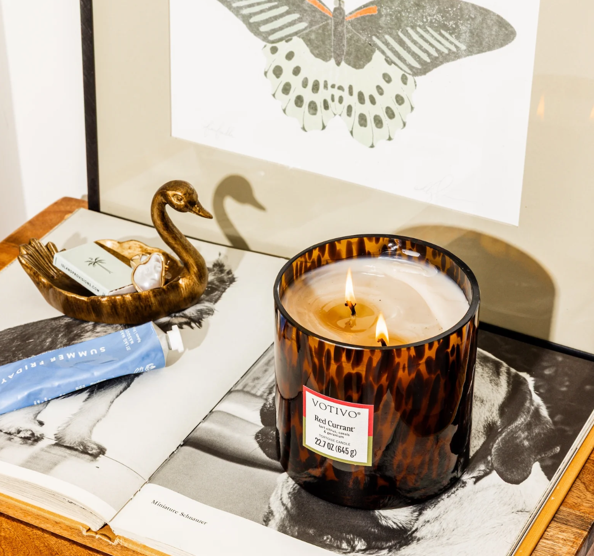 Red Currant Tortoise Candle