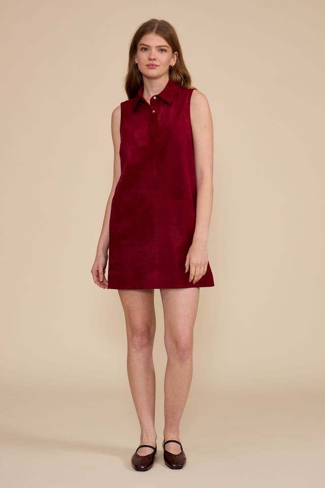 Riley Mini Dress